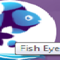 fisheye