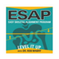 esapsolutions